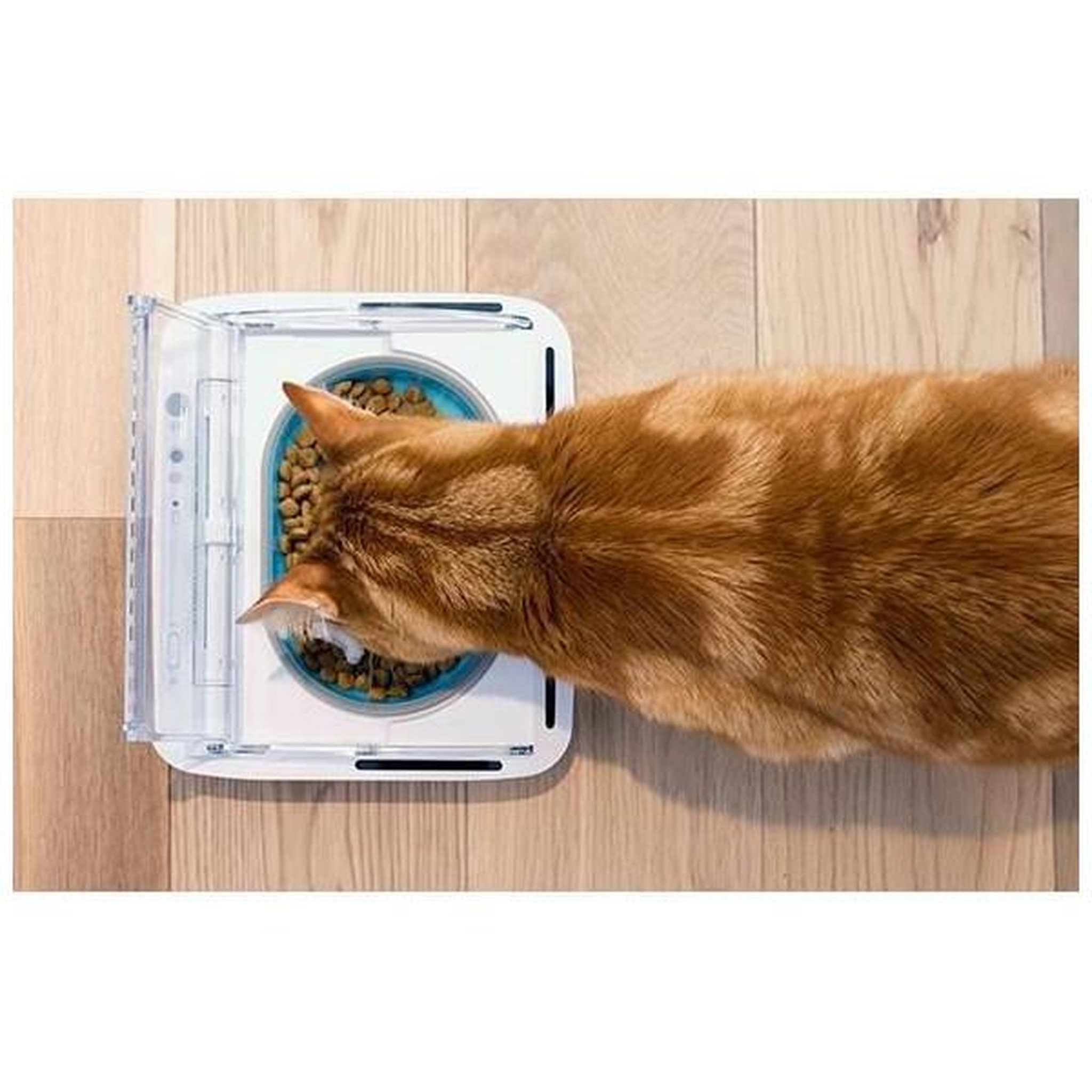 Voir la diapositive 5 : Pet Safe Surefeed distributeur de nourriture automatique pour chat anti-odeur - blanc (livré avec un bol simple)