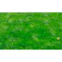 Voir la diapositive 3 : VIDAXL Grillage a poule avec revetement en PVC 25x0,75 m vert