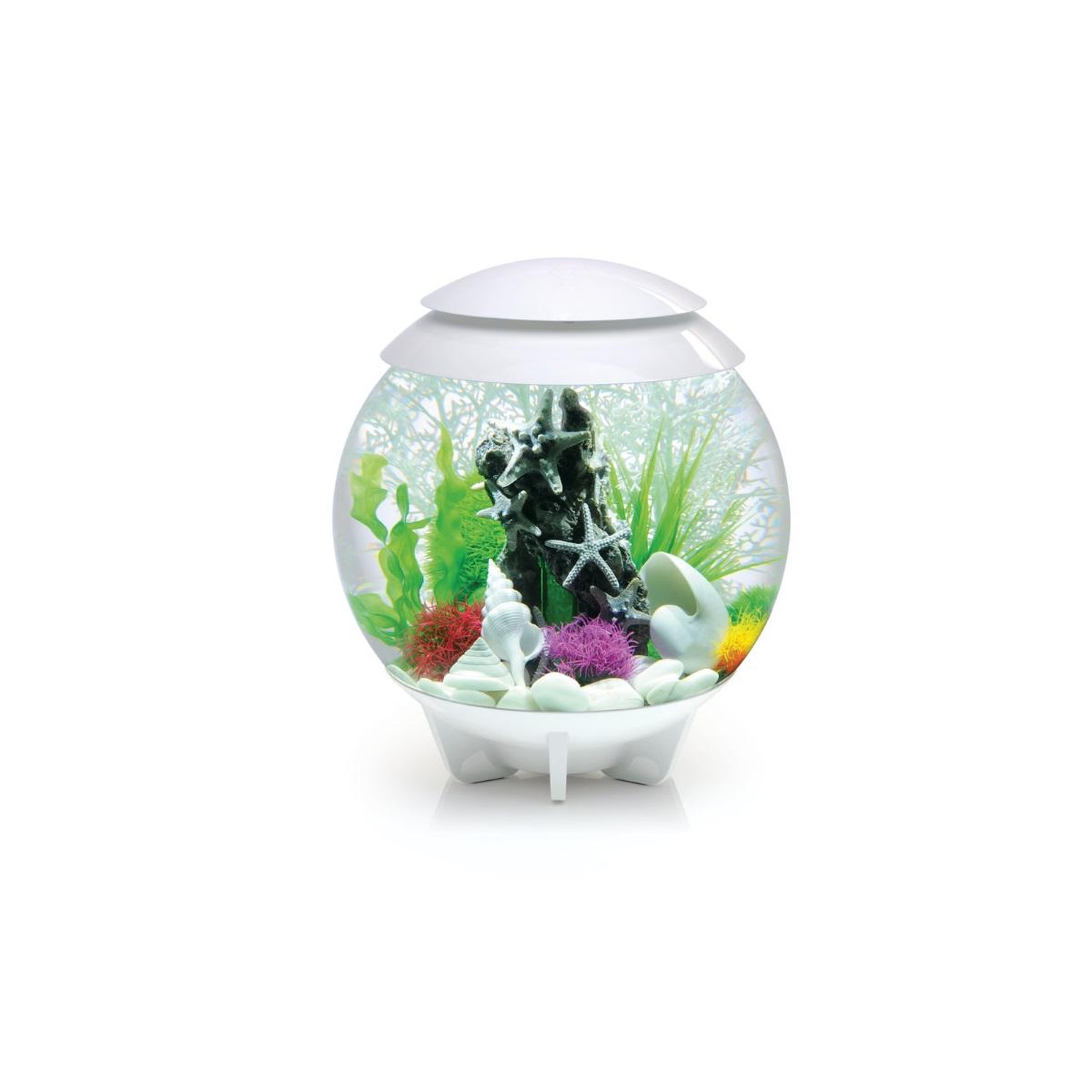 Voir la diapositive 2 : Oase Aquarium décoratif 30l blanc - halo 30 mcr white