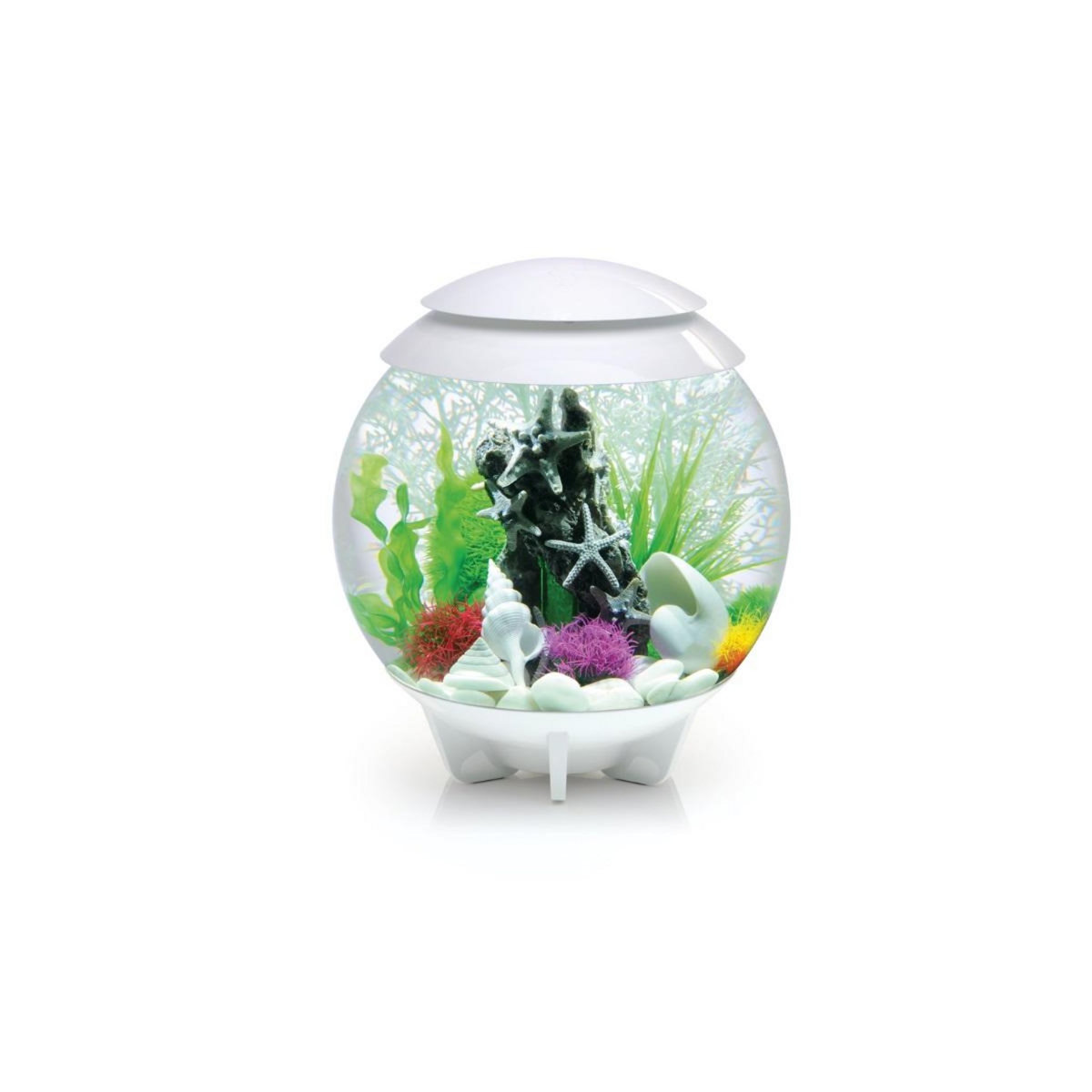 Oase Aquarium décoratif 30l blanc - Halo 30 MCR white