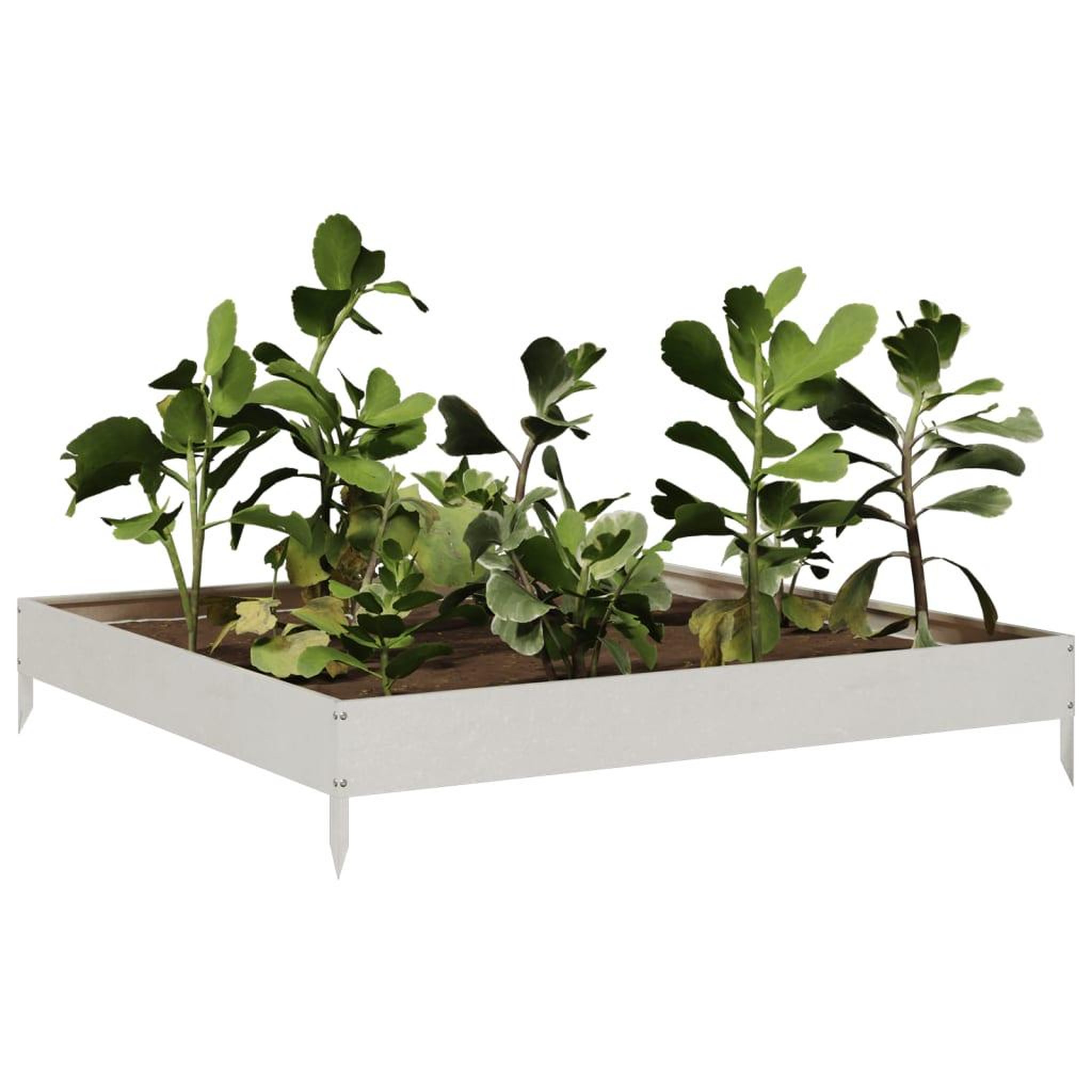 Voir la diapositive 3 : VIDAXL Lit sureleve de jardin 100x100x18,5 cm acier inoxydable
