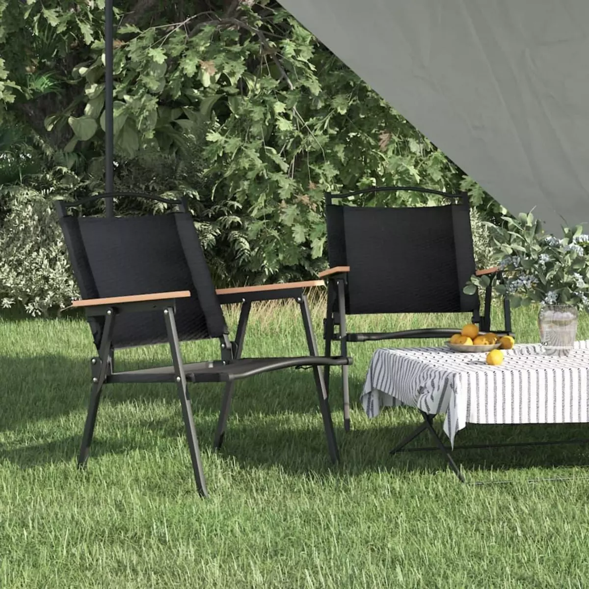 VIDAXL Chaises de camping 2 pcs Noir 54x55x78 cm Tissu Oxford