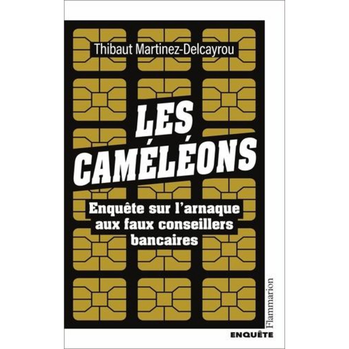 LES CAMELEONS. ENQUETE SUR L'ARNAQUE AUX FAUX CONSEILLERS BANCAIRES, Martinez-Delcayrou Thibaut