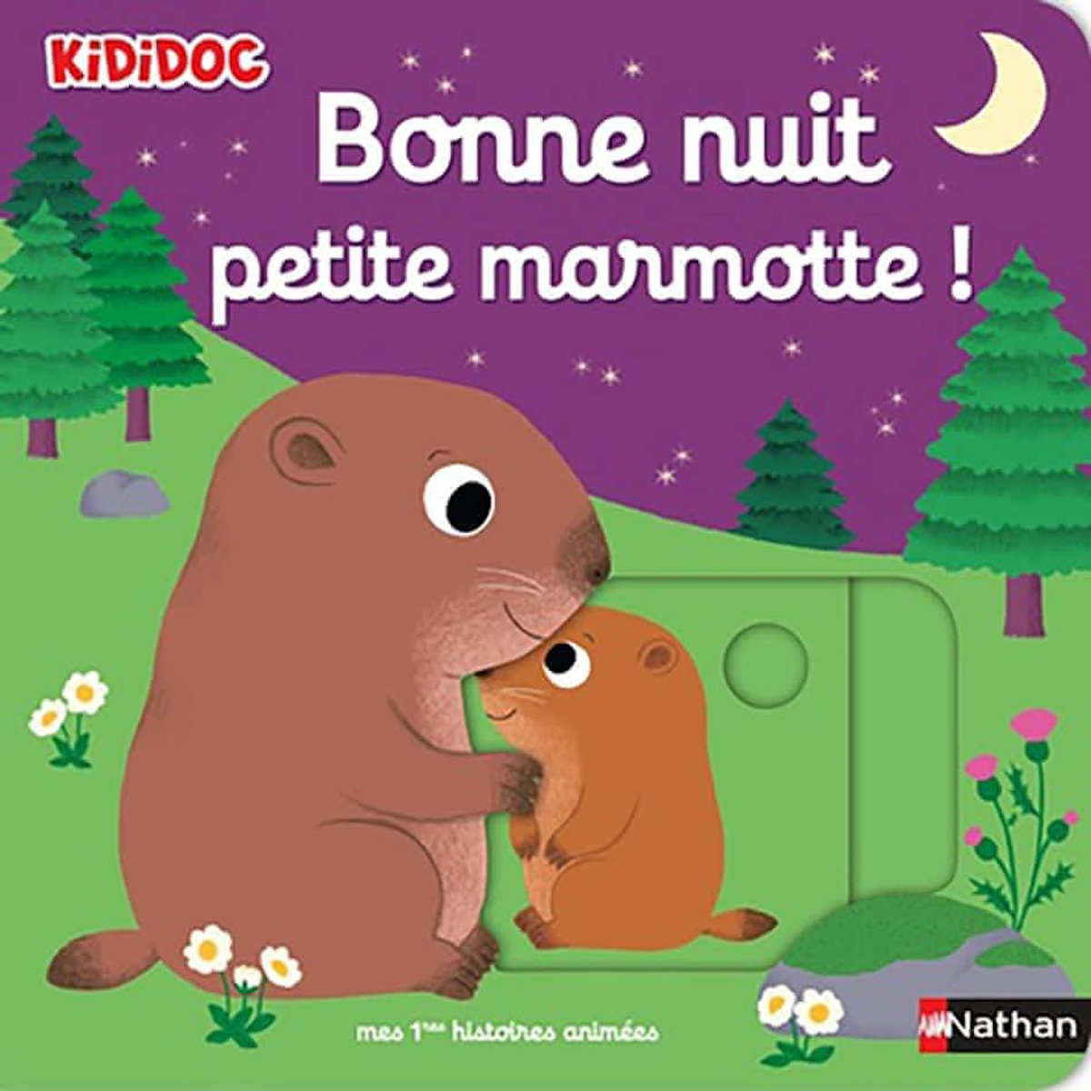 BONNE NUIT, PETITE MARMOTTE !, Choux Nathalie