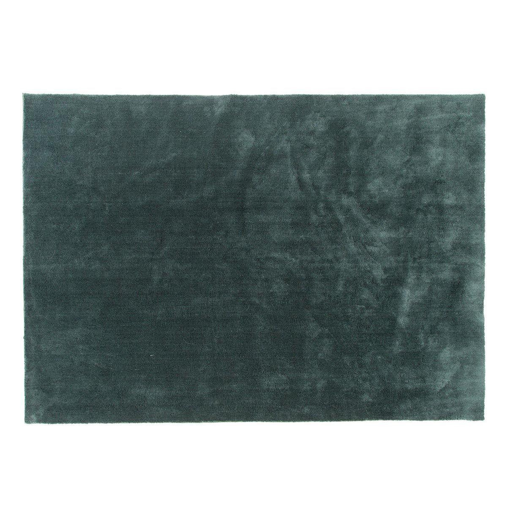 Paris Prix Tapis déco  undra  170x240cm vert