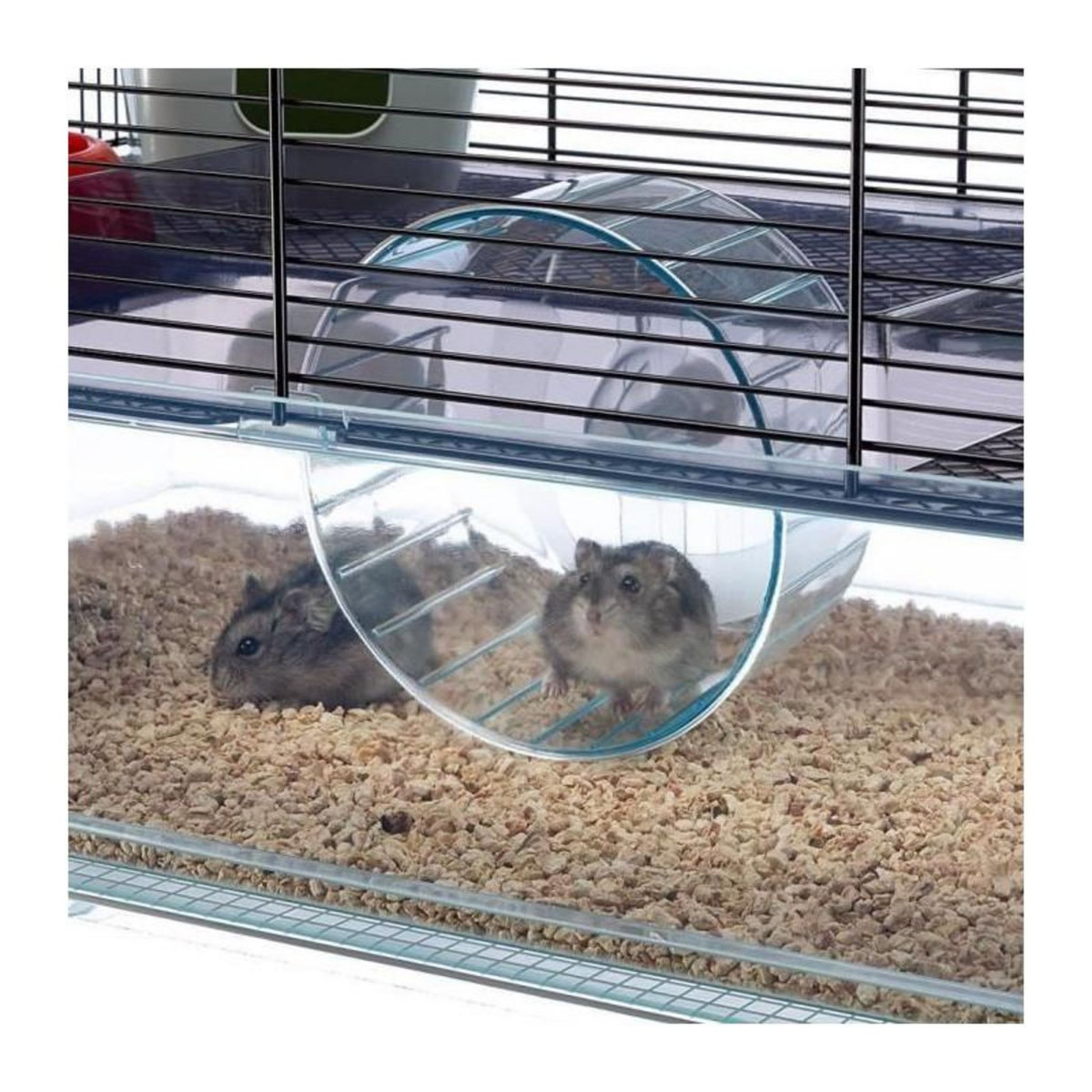 Ferplast Cage - FERPLAST - FAVOLA - 60 x 36,5 x h 30 cm - Hauteur de bac élevé