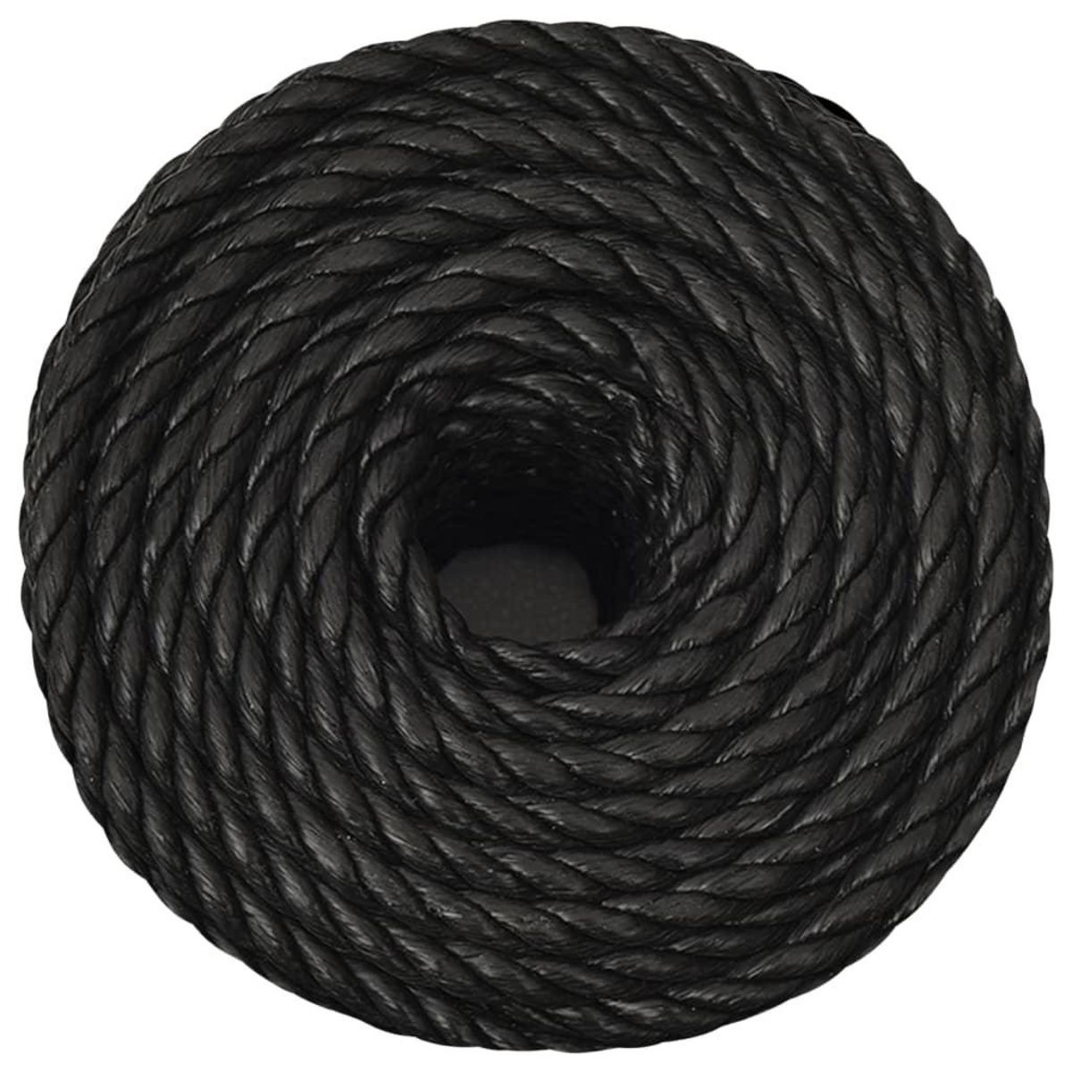 VIDAXL Corde de travail Noir 10 mm 25 m polypropylene