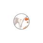 Voir la diapositive 3 : BREVI Transat balancelle musical Brilly Love natural