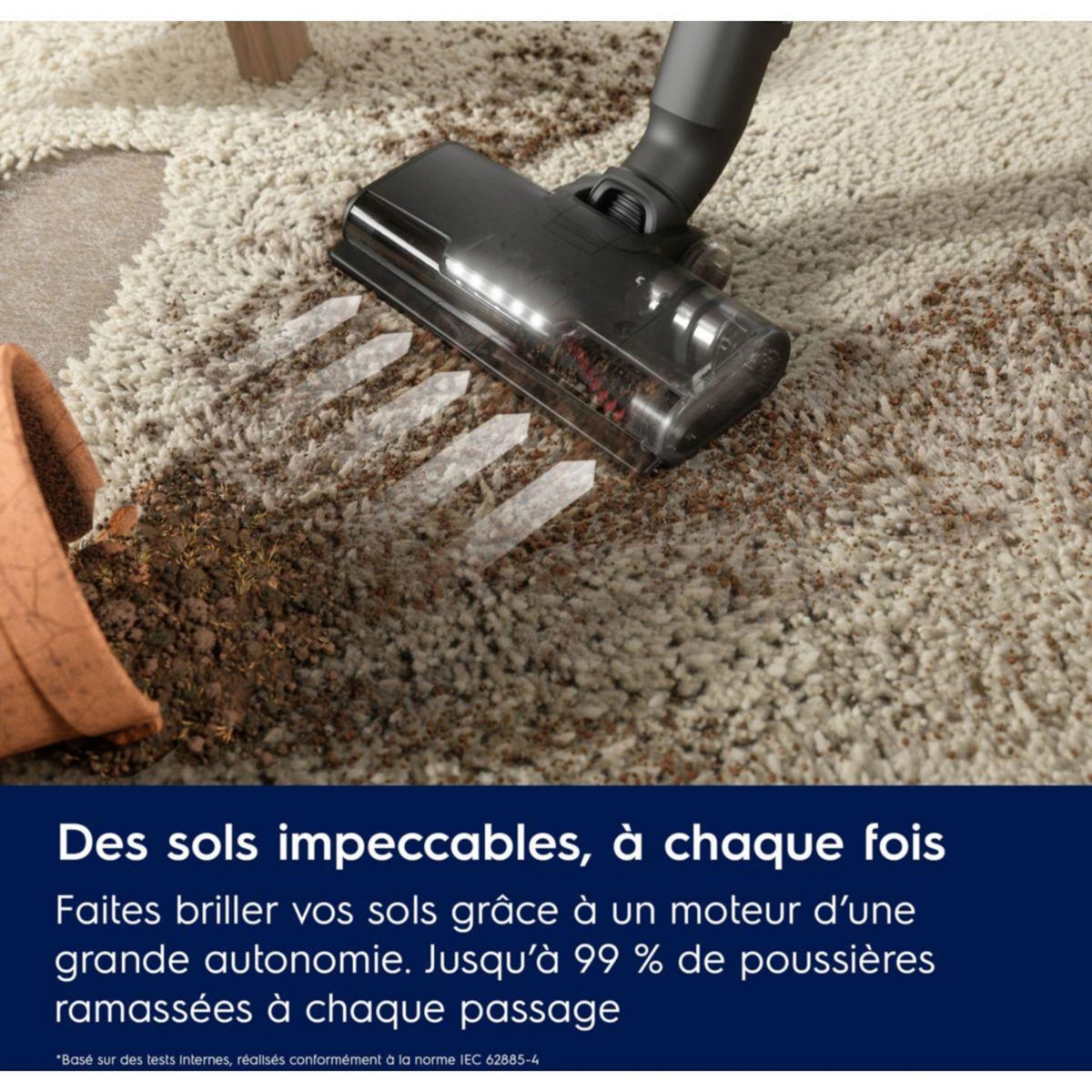 ELECTROLUX Aspirateur balai EP61CB21D2