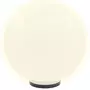 VIDAXL Lampe a LED sous forme de boule Spherique 50 cm PMMA