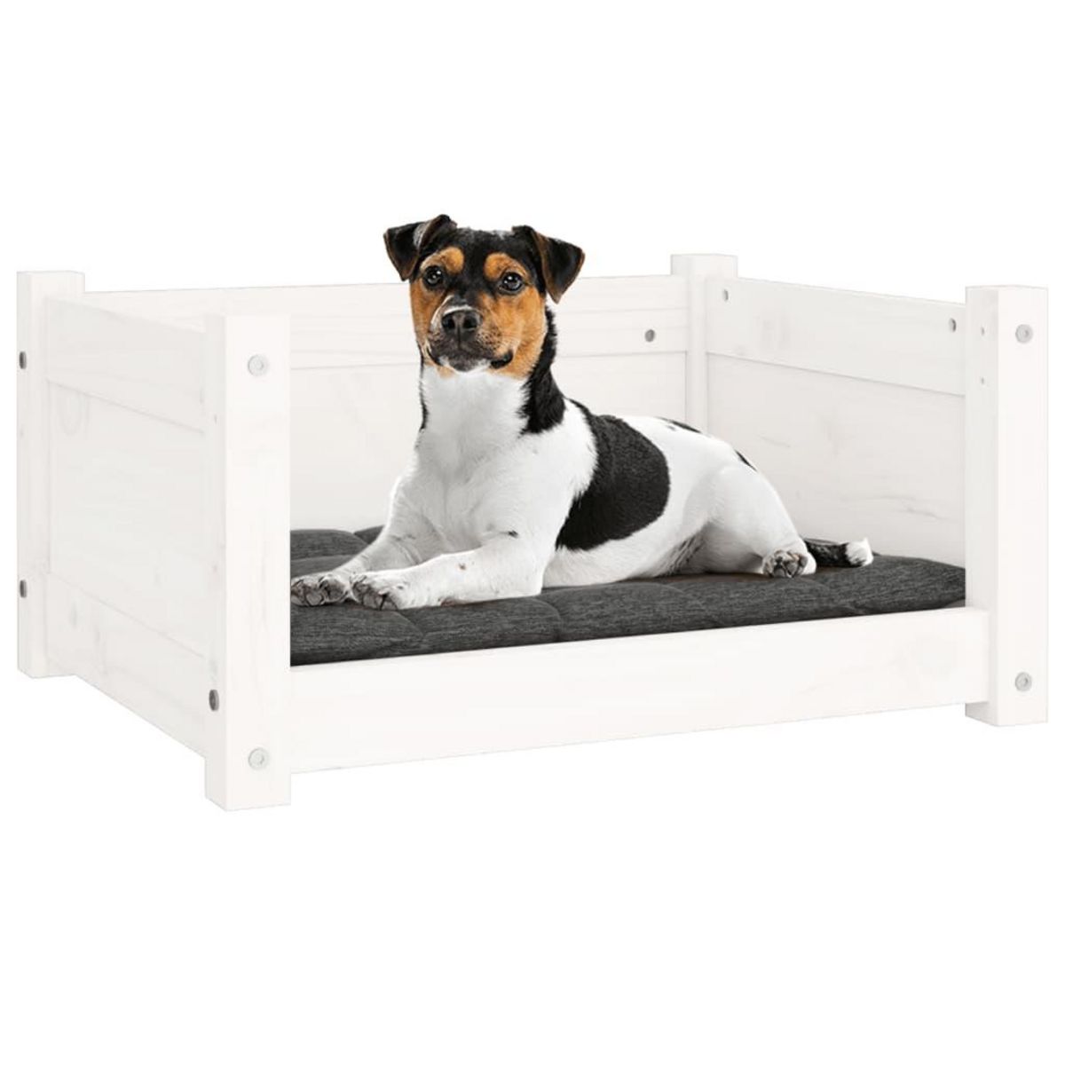 VIDAXL Lit pour chien Blanc 55,5x45,5x28 cm Bois massif de pin
