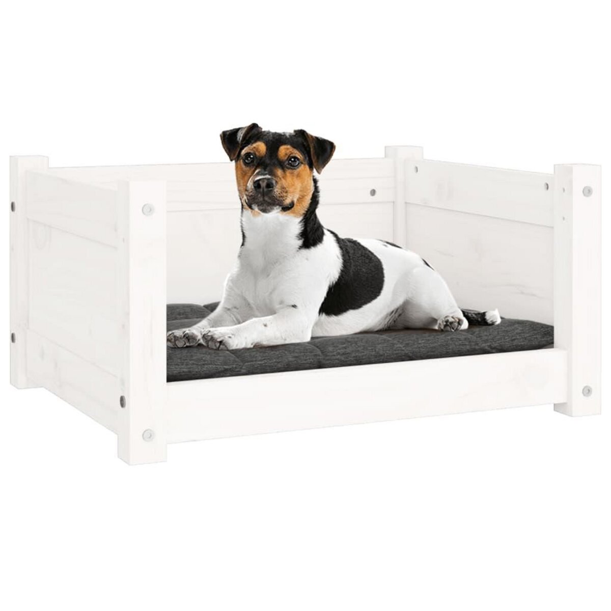 VIDAXL Lit pour chien Blanc 55,5x45,5x28 cm Bois massif de pin