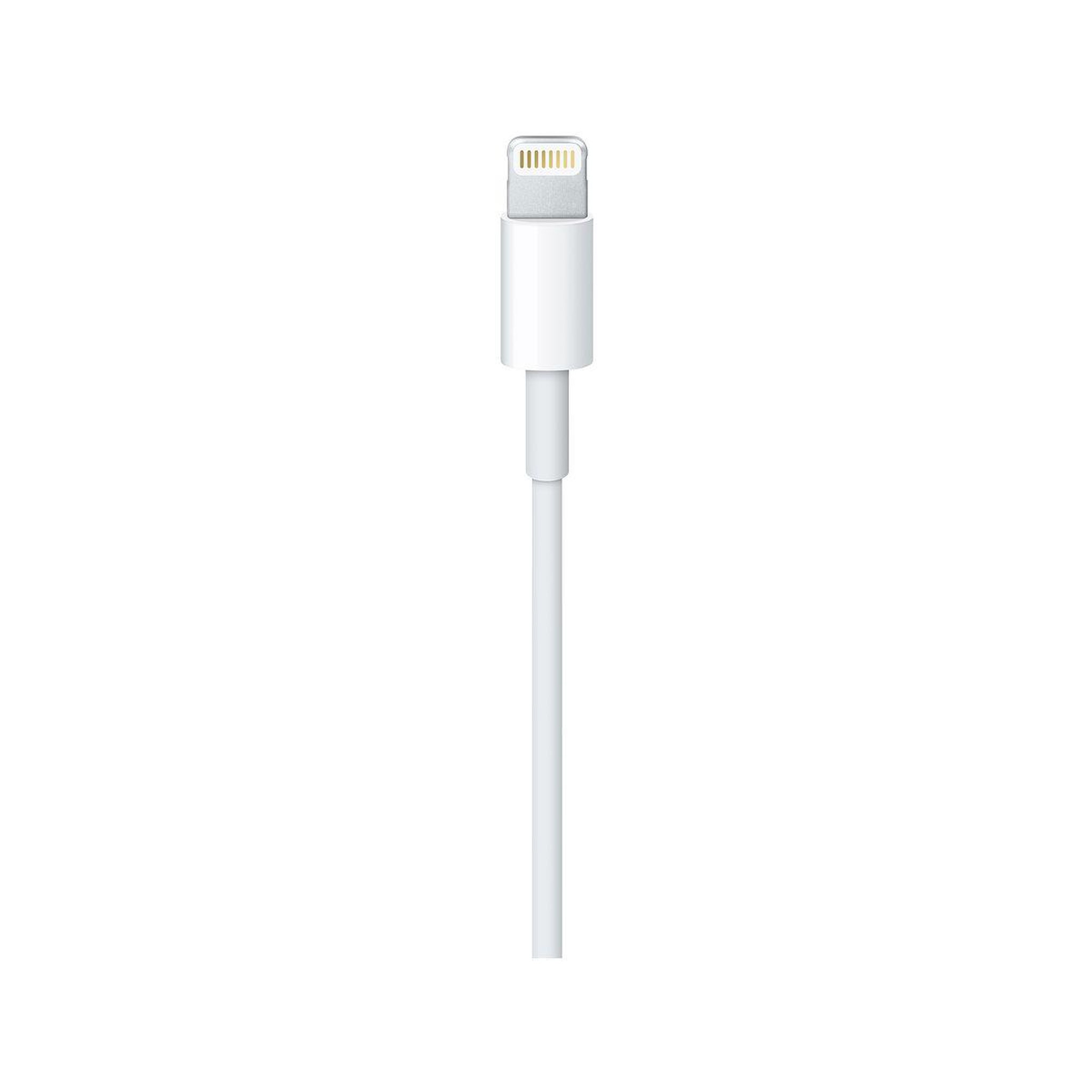 Voir la diapositive 3 : APPLE Câble Lightning vers USB 0.5m
