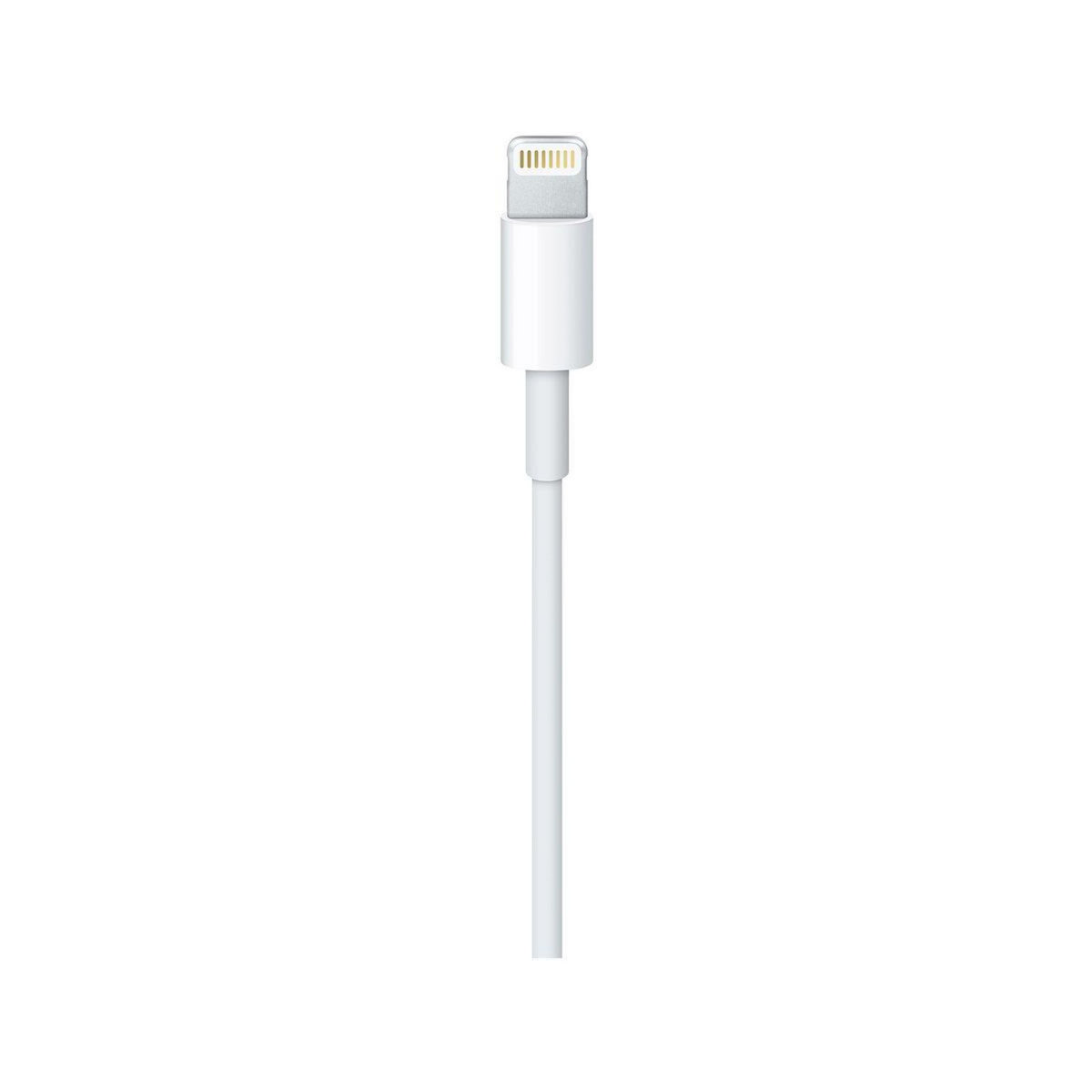 APPLE Câble Lightning vers USB 0.5m