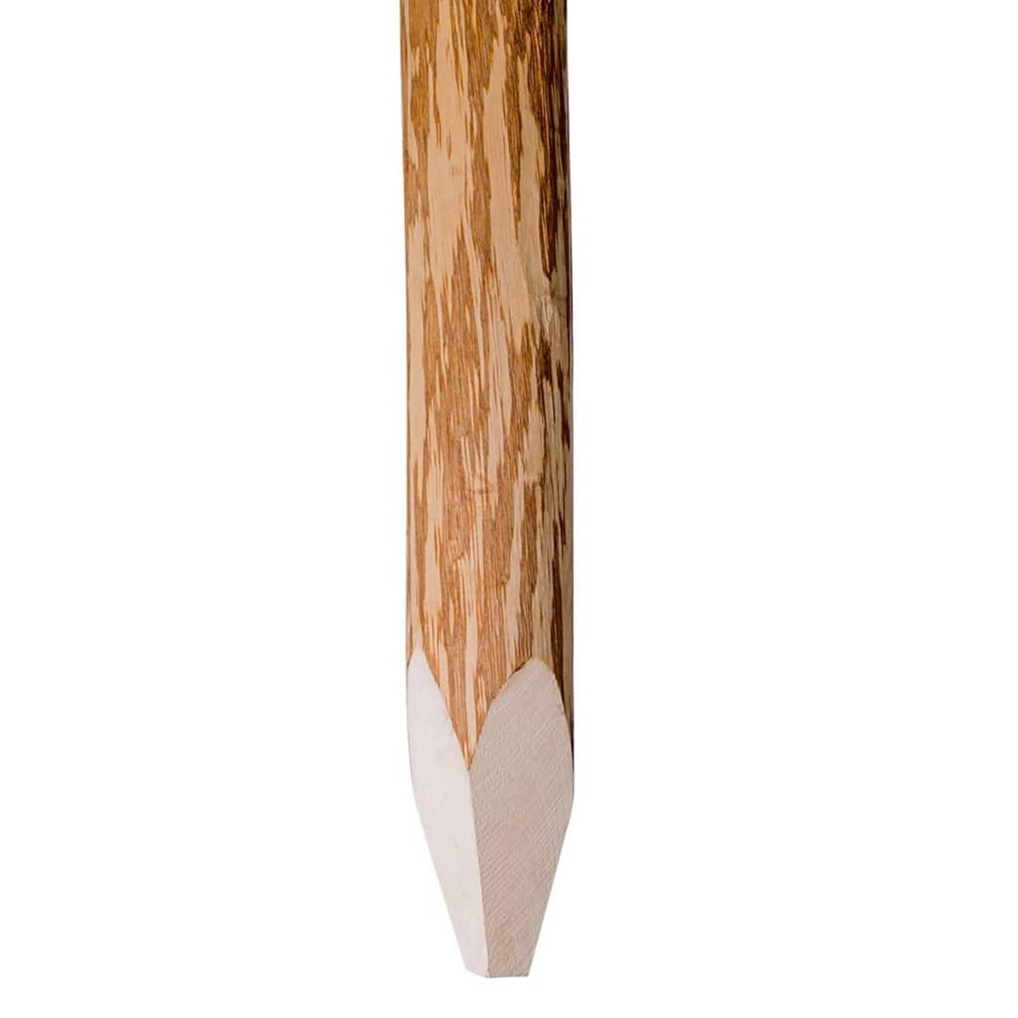 Voir la diapositive 2 : VIDAXL Poteaux pointus de cloture 4 pcs Bois de noisetier 90 cm