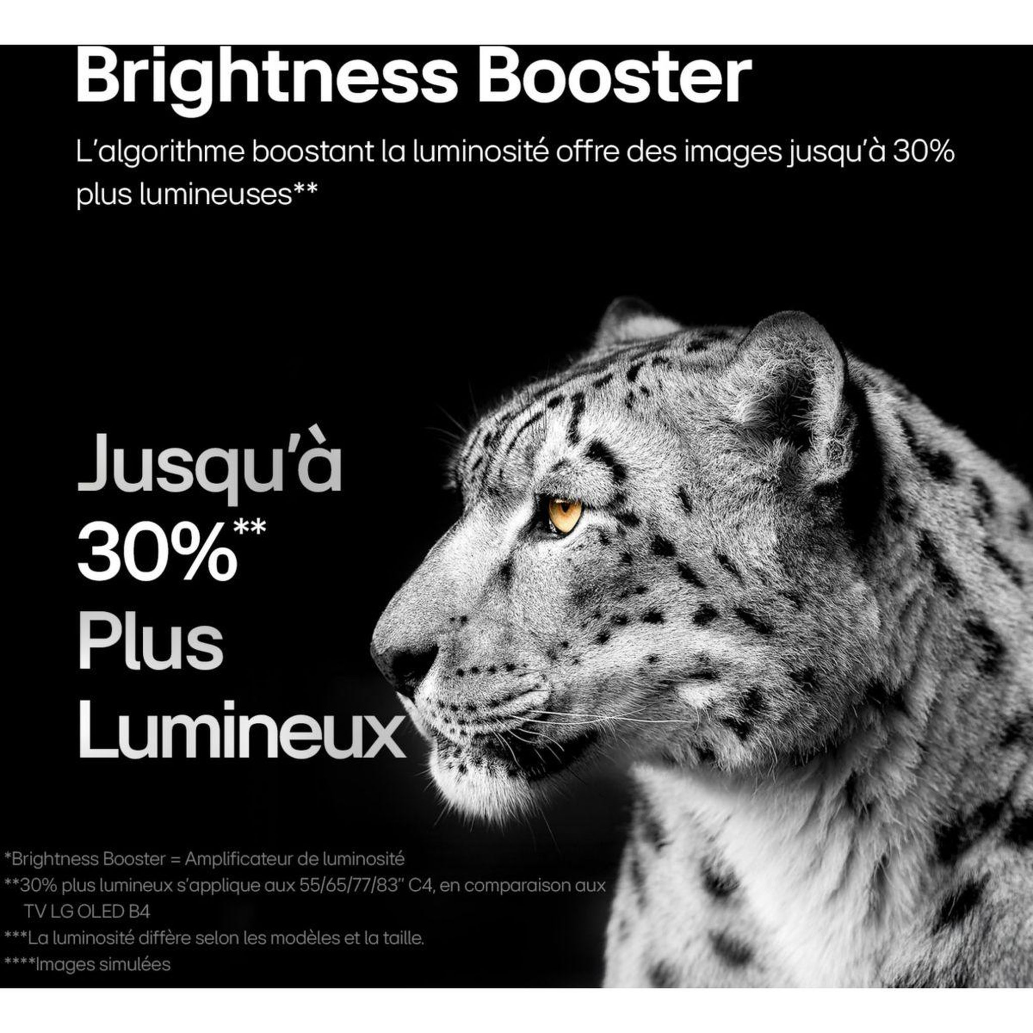 Voir la diapositive 5 : LG TV OLED 83C4