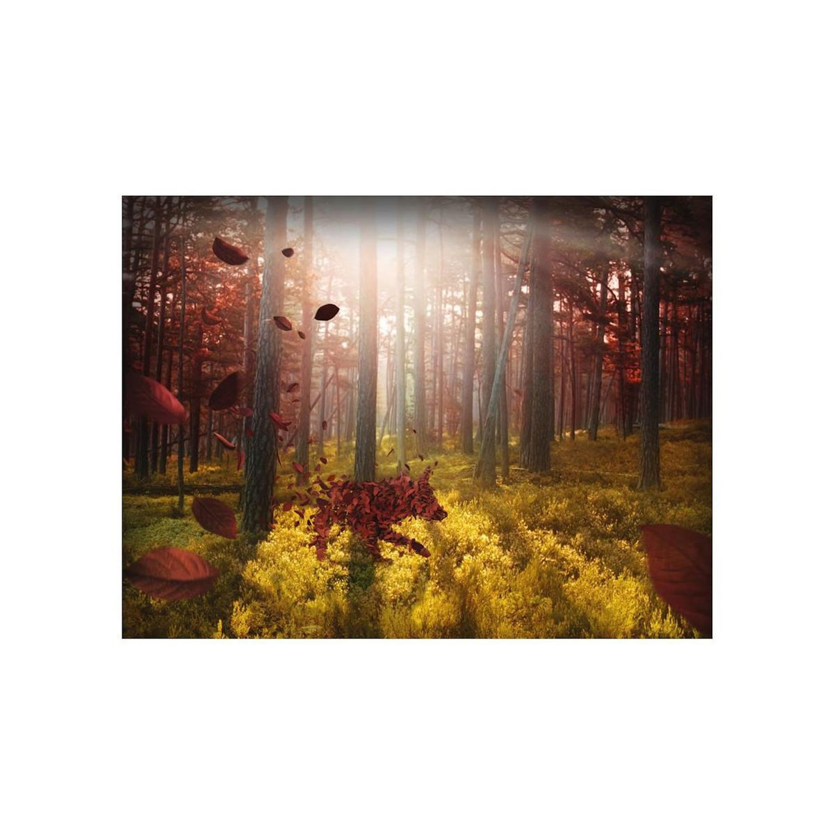 Paris Prix Papier Peint  Animisme