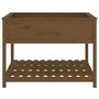 Voir la diapositive 5 : VIDAXL Jardiniere et etagere Marron miel 111,5x111,5x81 cm Bois de pin