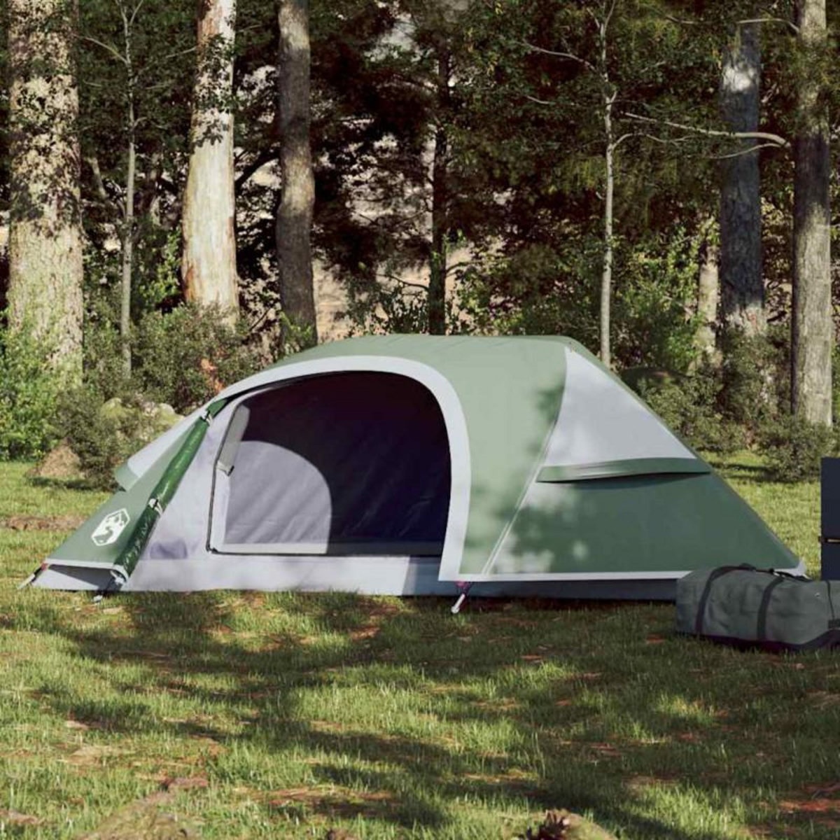 VIDAXL Tente de camping à dôme 1 personne vert imperméable