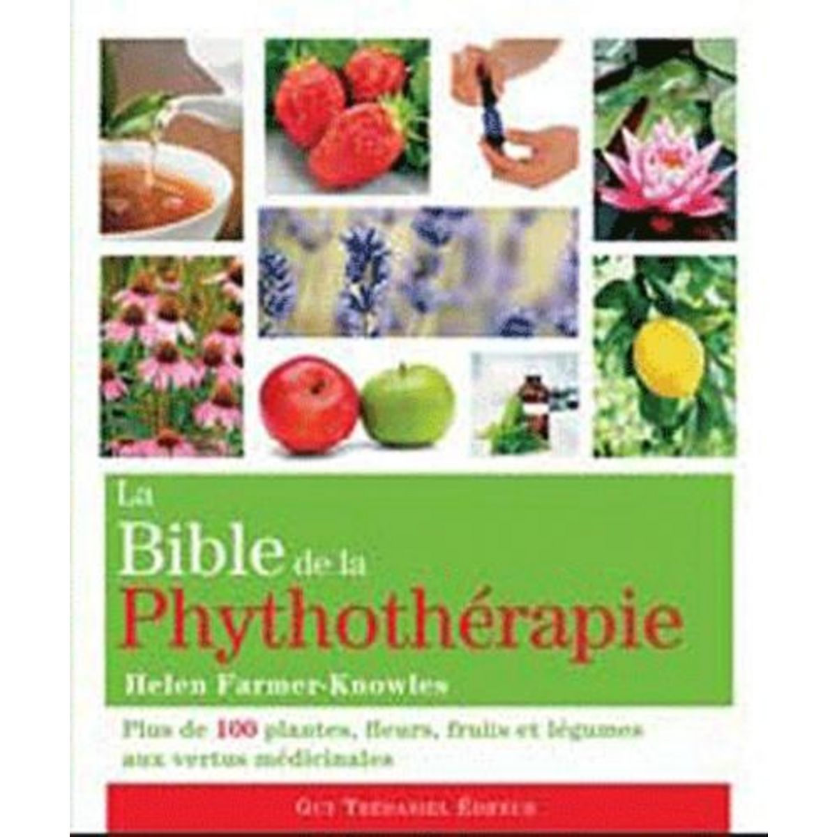 LA BIBLE DE LA PHYTOTHERAPIE. PLUS DE 100 PLANTES, FLEURS, FRUITS ET LEGUMES AUX VERTUS MEDICINALES, Farmer-Knowles Helen