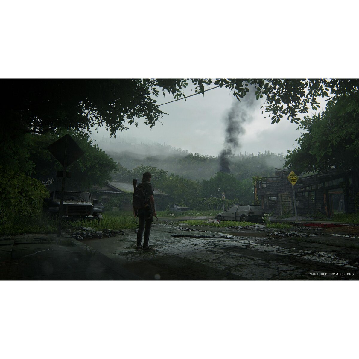 SONY The Last of Us Part II PS4