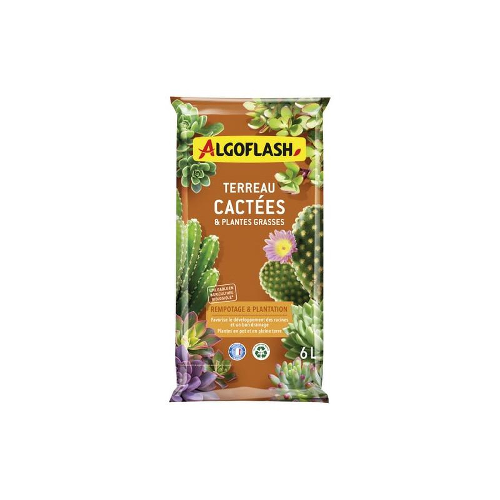 ALGOFLASH TERREAU CACTEES ET PLAN.GRASSES 6L /NC ALGOFLASH. - ATCAC6N