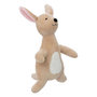 Voir la diapositive 3 : Atmosphera Kids Peluche Enfant Kangourou XL  Blake  63cm Beige
