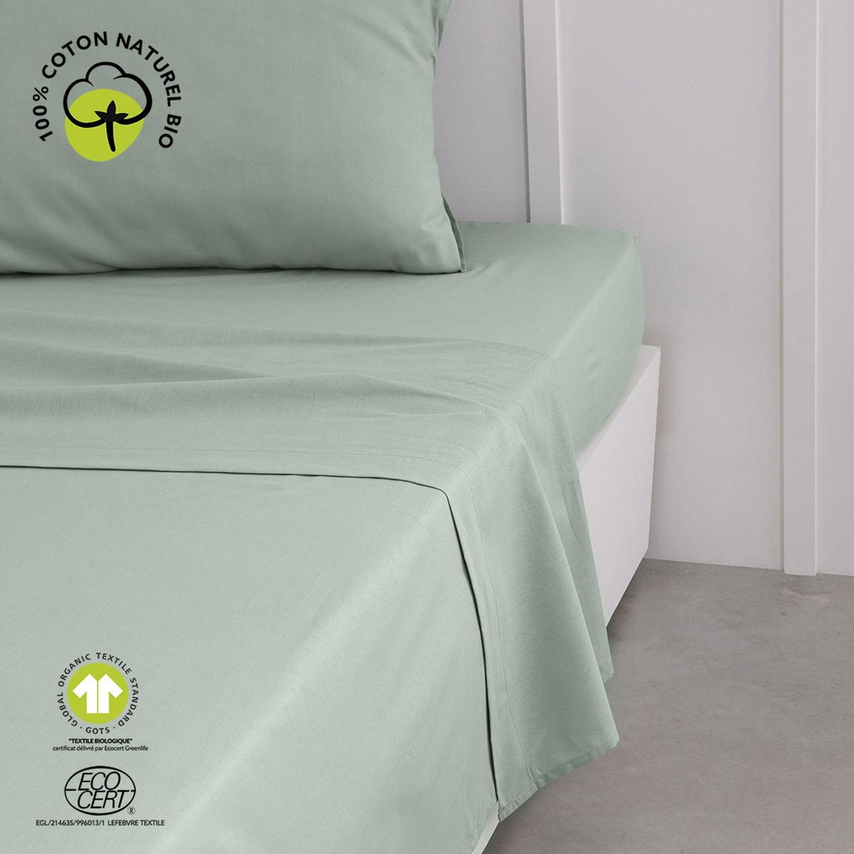 Today Drap plat - 100% coton BIO