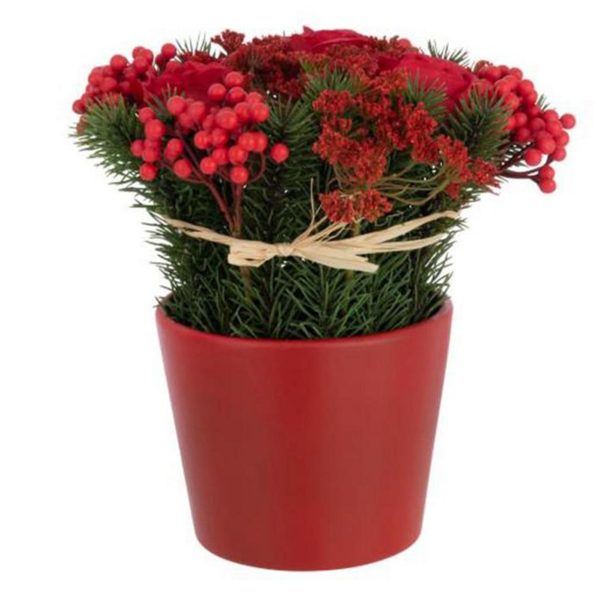 Paris Prix Composition Florale Pot  Roses & Baies  25cm Rouge