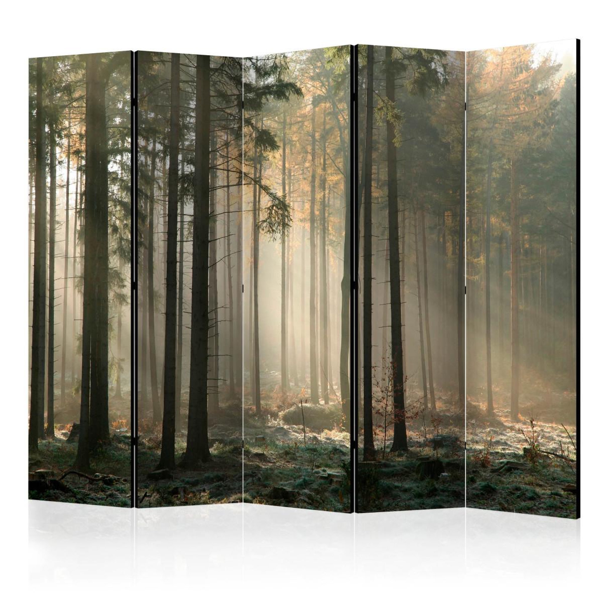 Paris Prix Paravent 5 volets  foggy november morning  172x225cm