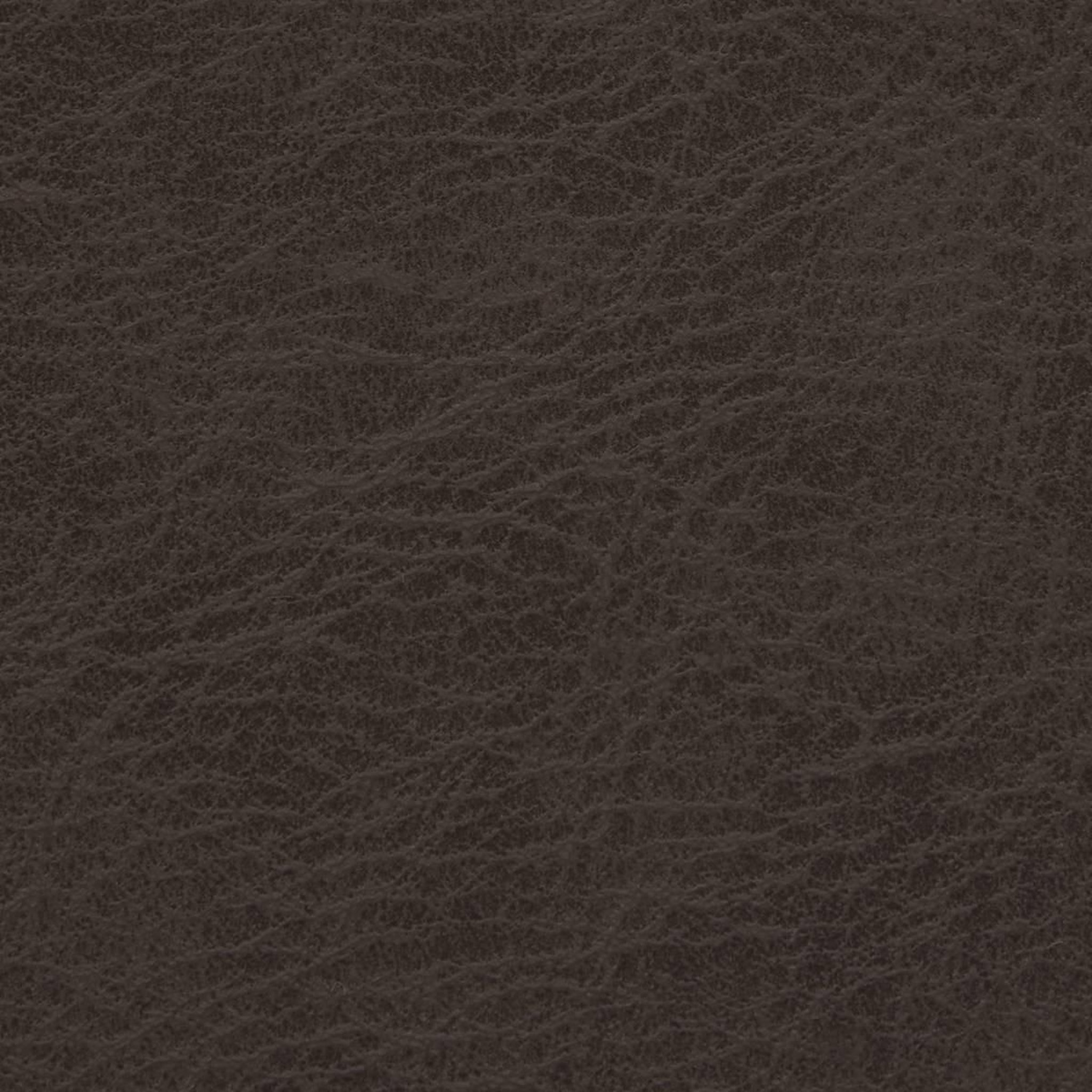 Voir la diapositive 4 : SECRET DE GOURMET Set de Table Rectangulaire  Glenn  30x45cm Chocolat