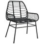 Voir la diapositive 4 : VIDAXL Chaises de jardin lot de 2 Noir Resine tressee