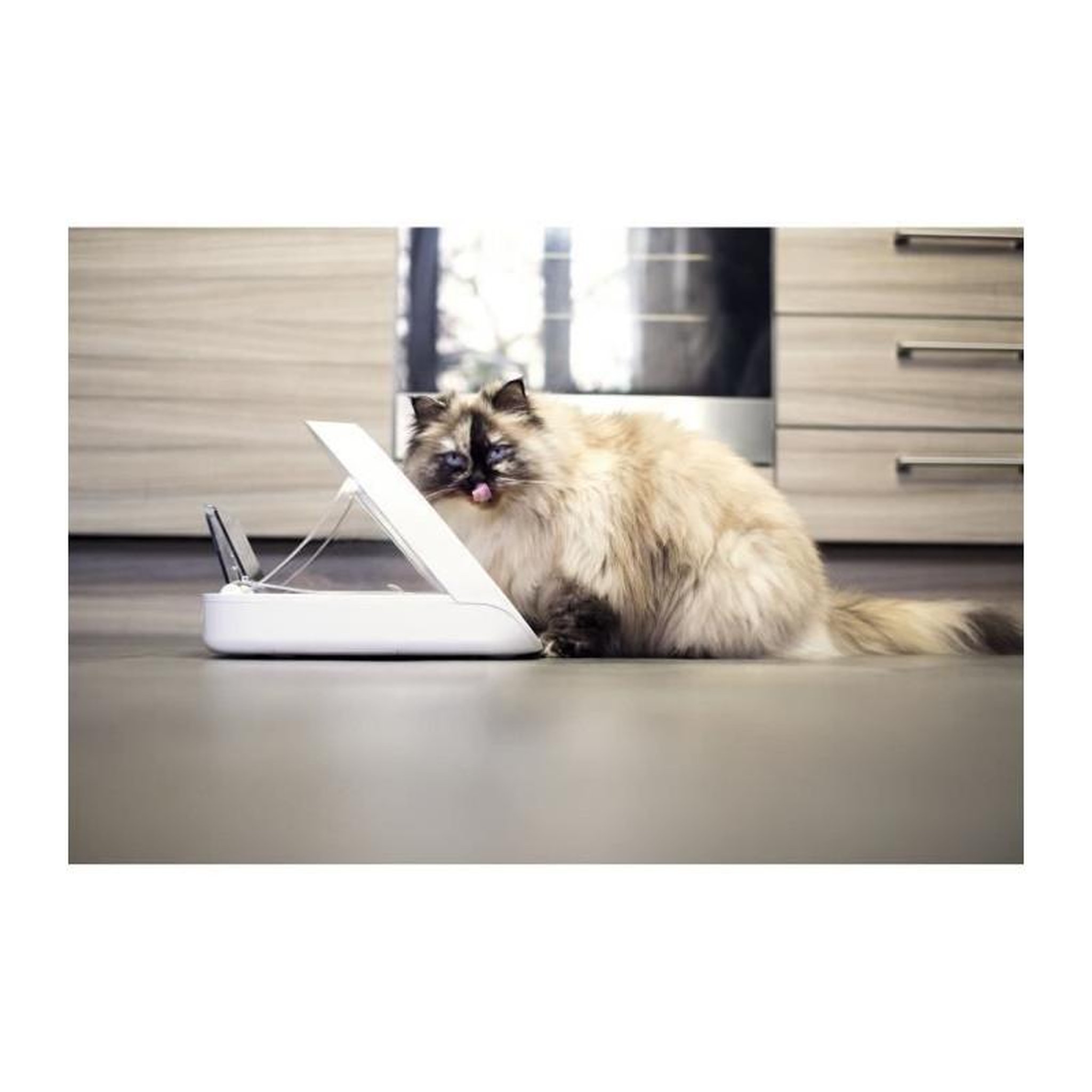 Voir la diapositive 4 : GENERIQUE Distributeur daliment Connect - Blanc - Pour chat