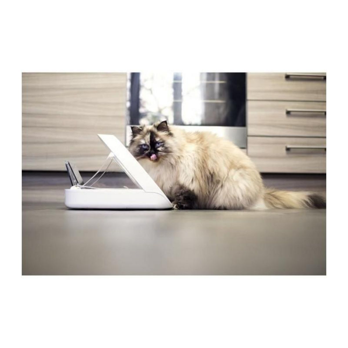 GENERIQUE Distributeur daliment Connect - Blanc - Pour chat