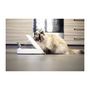 Voir la diapositive 4 : GENERIQUE Distributeur daliment Connect - Blanc - Pour chat