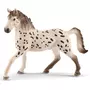 Schleich Figurine cheval : Etalon Knabstrupper