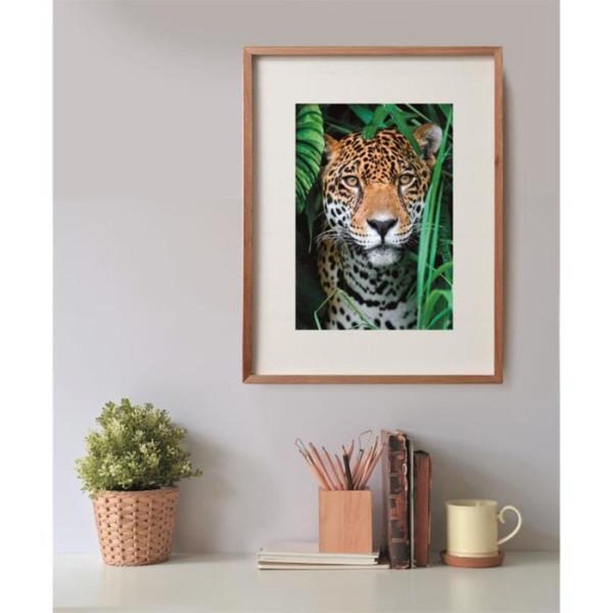 Voir la diapositive 4 : CLEMENTONI Clementoni - compact 500 pieces - jaguar in the jungle