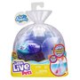 MOOSE TOYS Poisson Dippers Furtail - Little Live Pets