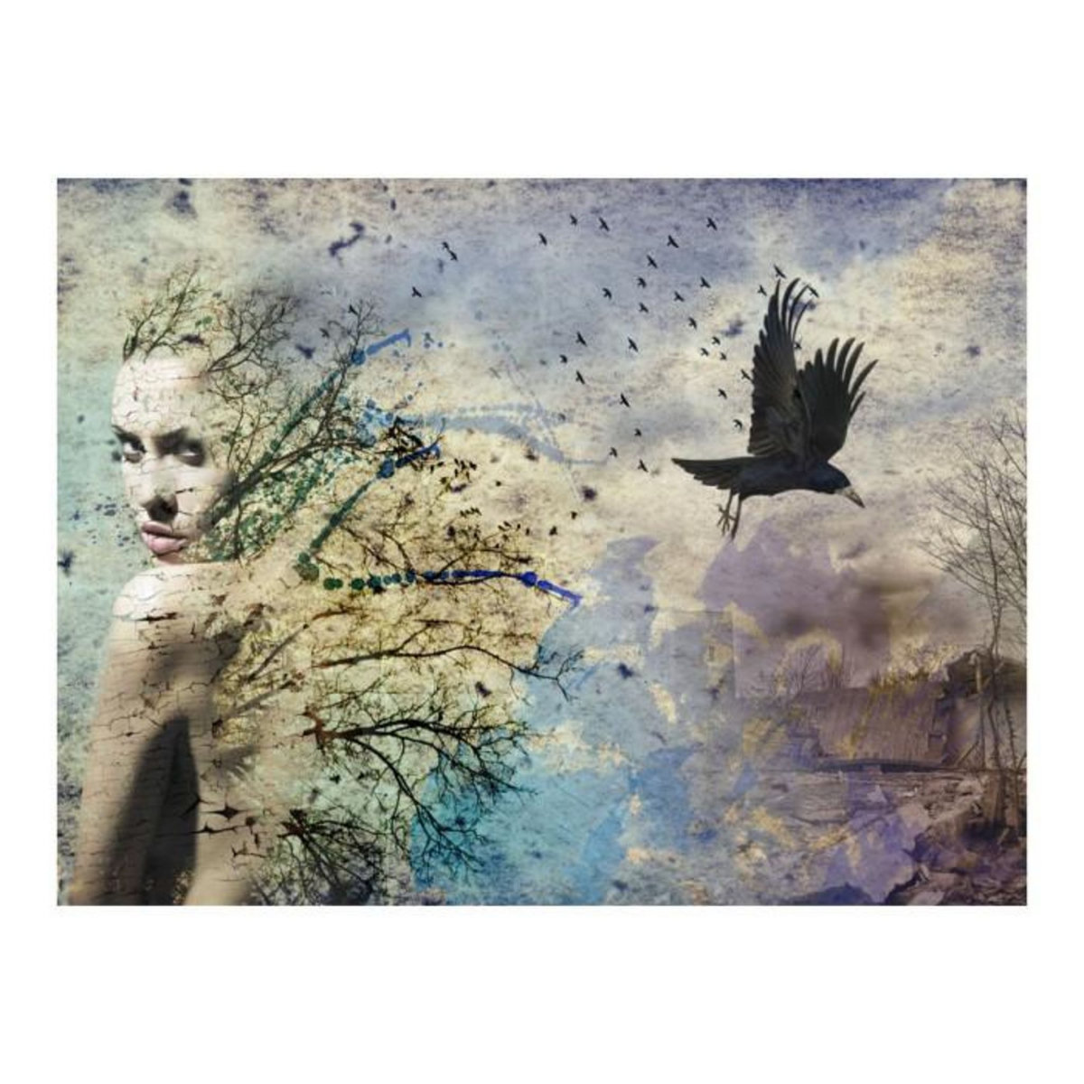 Paris Prix Papier Peint  Identity Change