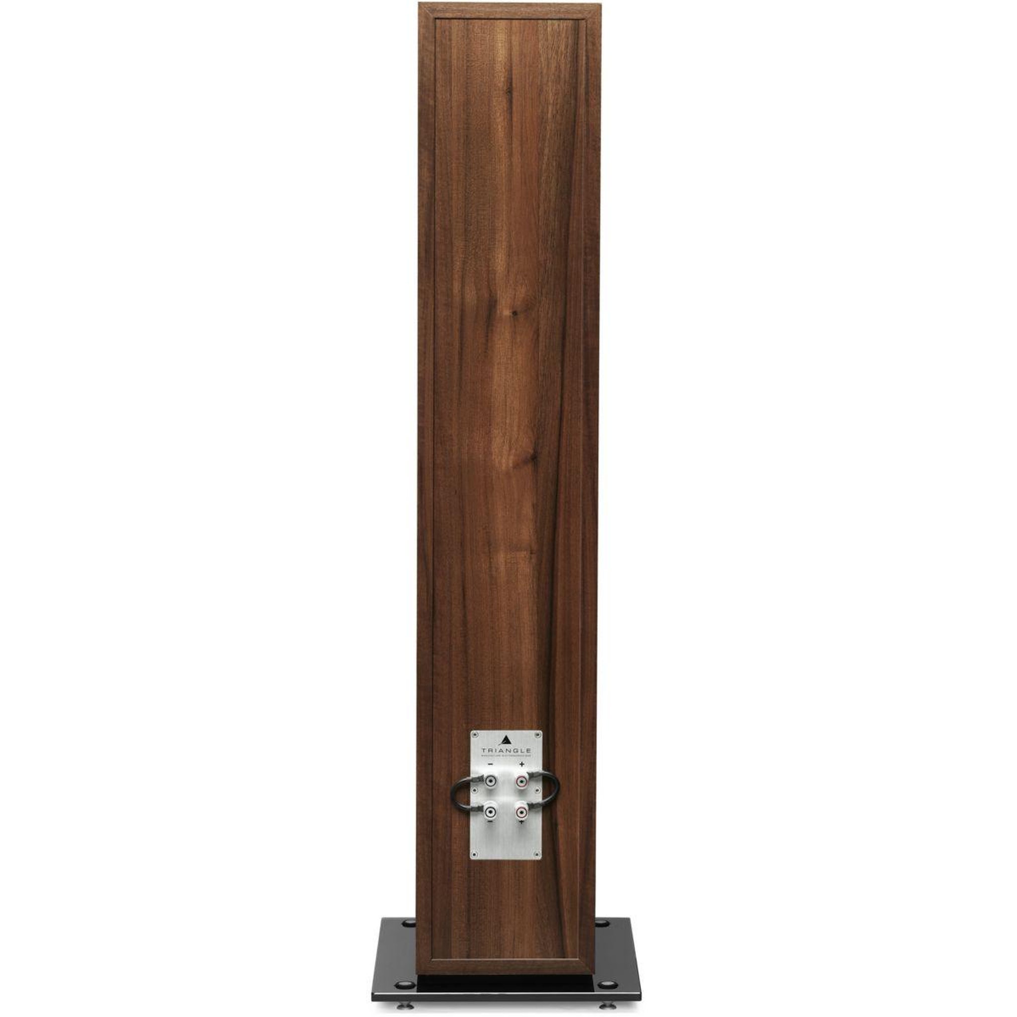 Voir la diapositive 3 : Triangle Enceinte colonne antal ez chataigner x1