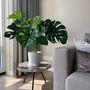 Voir la diapositive 4 : PLANT IN A BOX Monstera artificiel - Hauteur 85cm