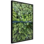 Paris Prix Affiche Murale Encadrée  Forest from a Bird's Eye View. Coloris disponibles : Noir, Jaune