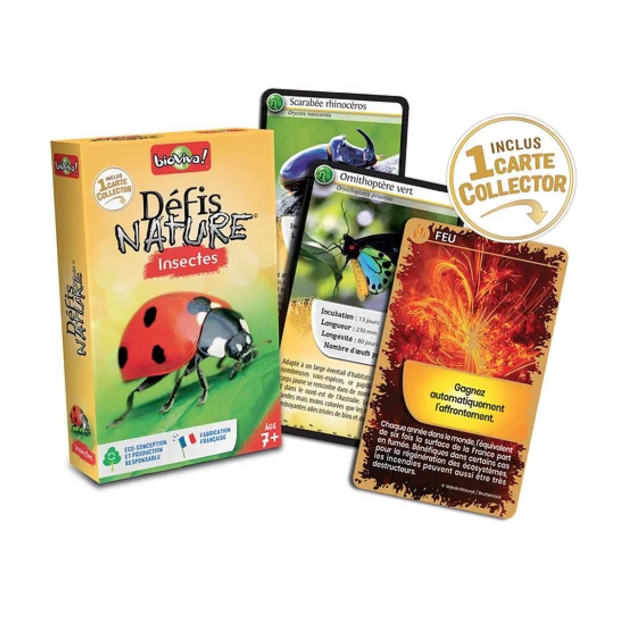Voir la diapositive 2 : Bioviva Defis Nature - Les insectes