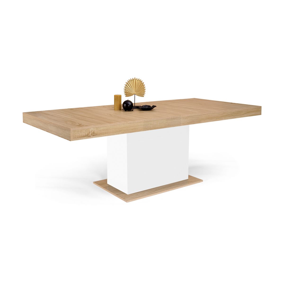 Table de séjour salle à manger extensible L160/200 cm TINA