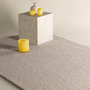 Voir la diapositive 3 : Paris Prix Tapis Uni  Teddy  200x290cm Beige