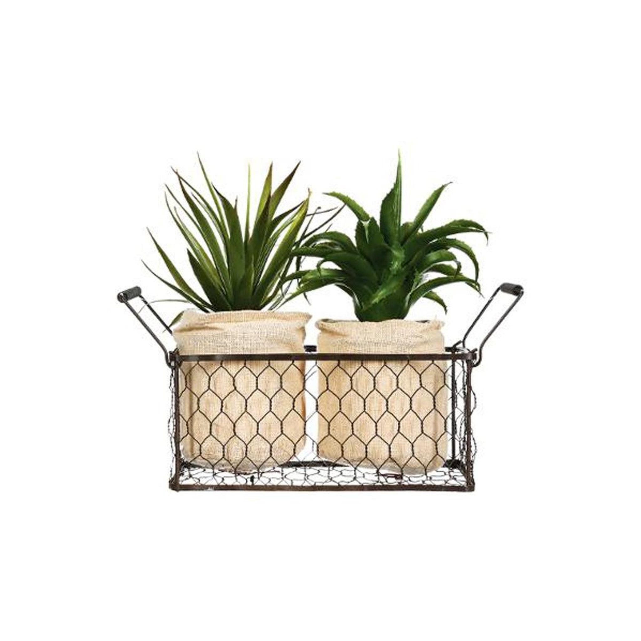 Voir la diapositive 2 : ATMOSPHERA Lot de 2 aloe vera & panier  well  23cm vert