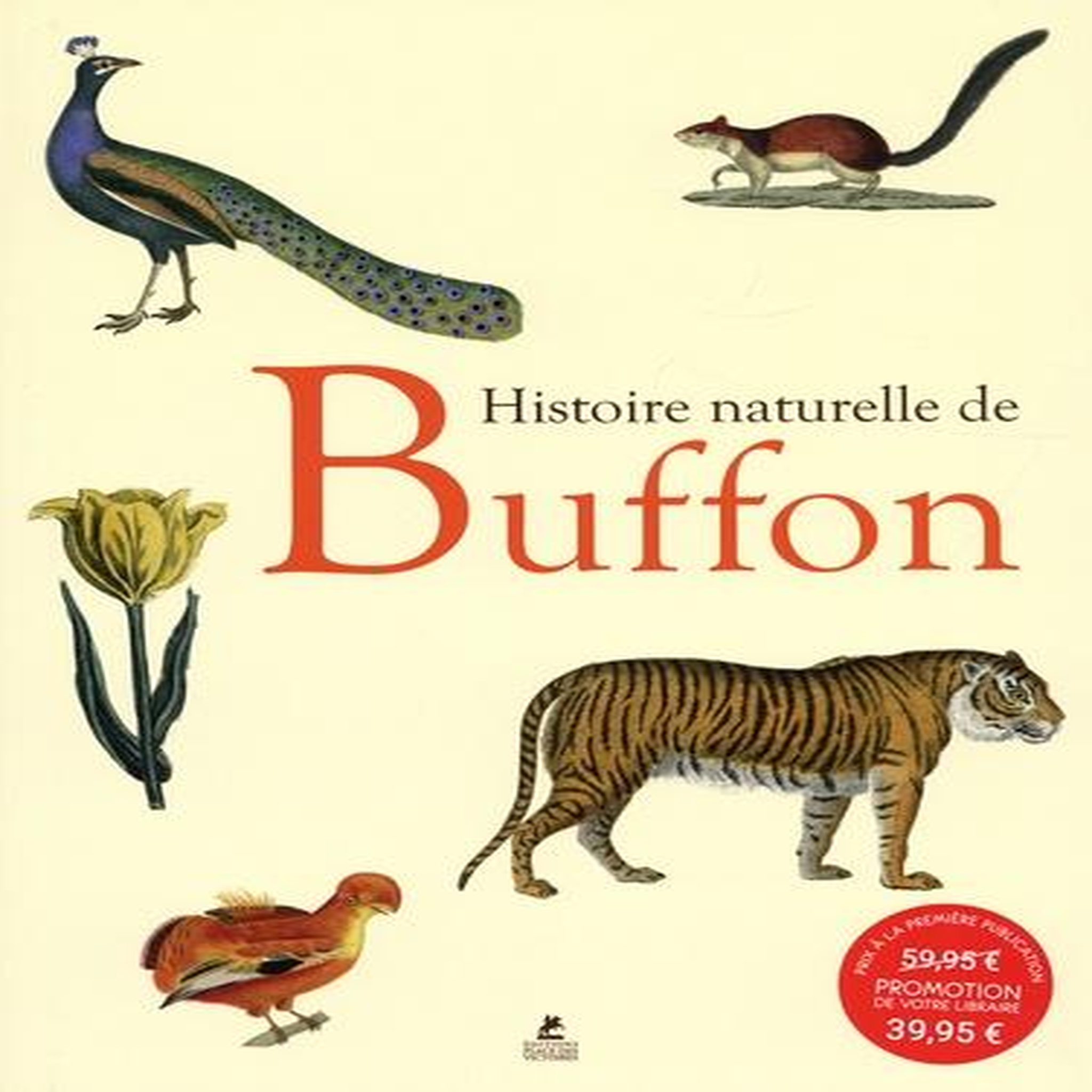 HISTOIRE NATURELLE DE BUFFON. EDITION FRANCAIS-ANGLAIS-ITALIEN, Schleifer Simone
