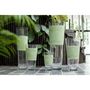 Voir la diapositive 3 : Paris Prix Vase Déco en Verre  Delph  25cm Transparent & Vert
