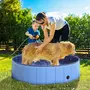 PAWHUT Piscine pour chiens bassin pliable bouchon vidange fond antidérapant diamètre 1,20 m bleu