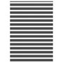 Voir la diapositive 1 : VIDAXL Store zebre noir 160x230 cm largeur du tissu 155,9 cm polyester